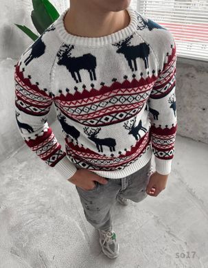 Мужской свитер