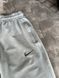 Спортивні штани Nike сірі