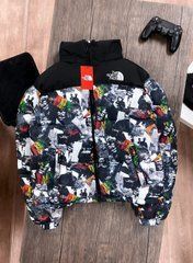 мужская куртка "the north face"