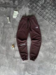 Спортивні штани чоловічі The North Face коричневі