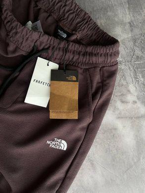 Спортивні штани чоловічі The North Face коричневі