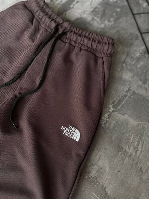 Спортивні штани чоловічі The North Face коричневі