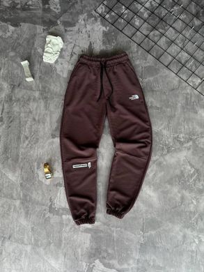 Спортивні штани чоловічі The North Face коричневі