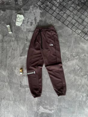 Спортивні штани чоловічі The North Face коричневі