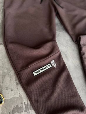 Спортивні штани чоловічі The North Face коричневі