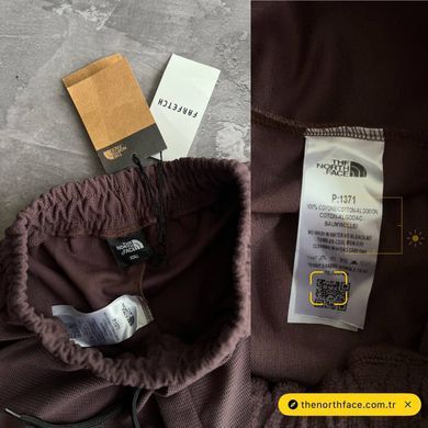 Спортивні штани чоловічі The North Face коричневі