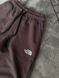 Спортивні штани чоловічі The North Face коричневі
