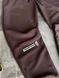 Спортивні штани чоловічі The North Face коричневі