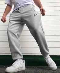 Мужские спортивные штаны Nike серые