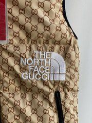 Чоловіча жилетка The North Face