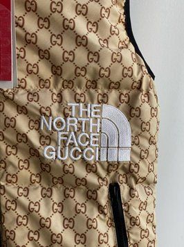 Чоловіча жилетка The North Face