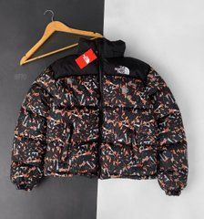 Куртка мужская разноцветная зимняя The North Face