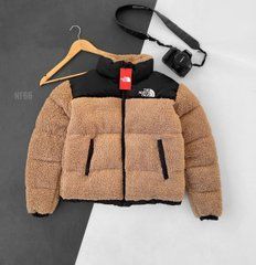Мужская зимняя куртка The North Face светло-коричневая без капюшона