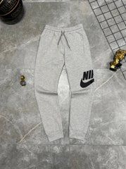 Спортивні штани Nike сірі